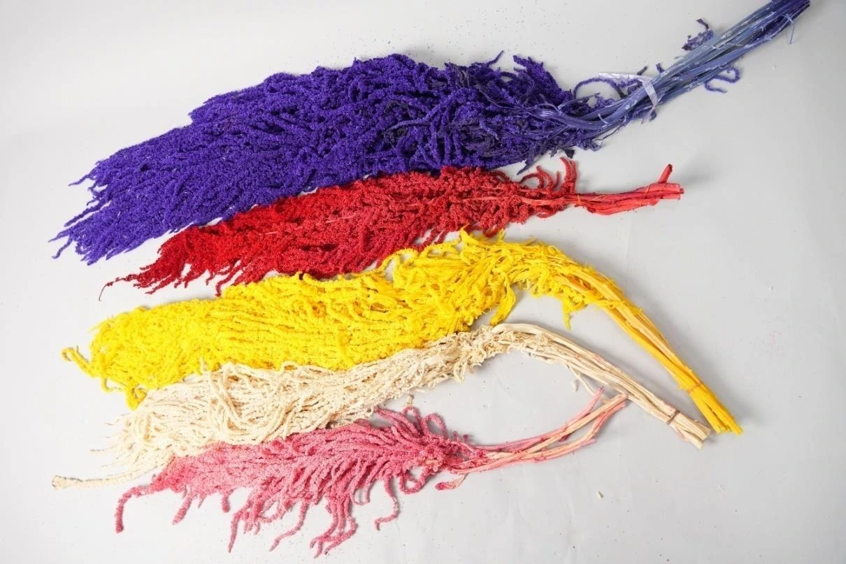 Real Dried Hanging 150cm